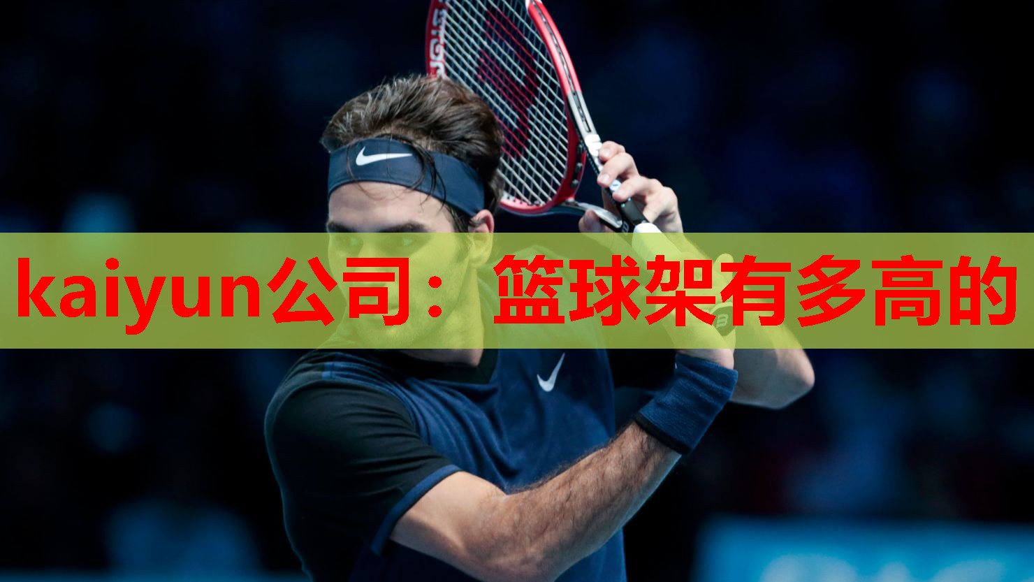 kaiyun公司：篮球架有多高的