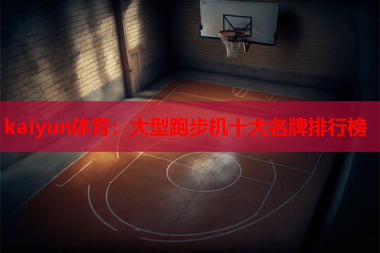 kaiyun体育：大型跑步机十大名牌排行榜