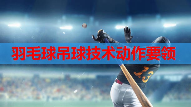 羽毛球吊球技术动作要领
