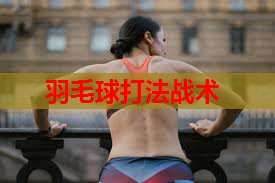 羽毛球打法战术