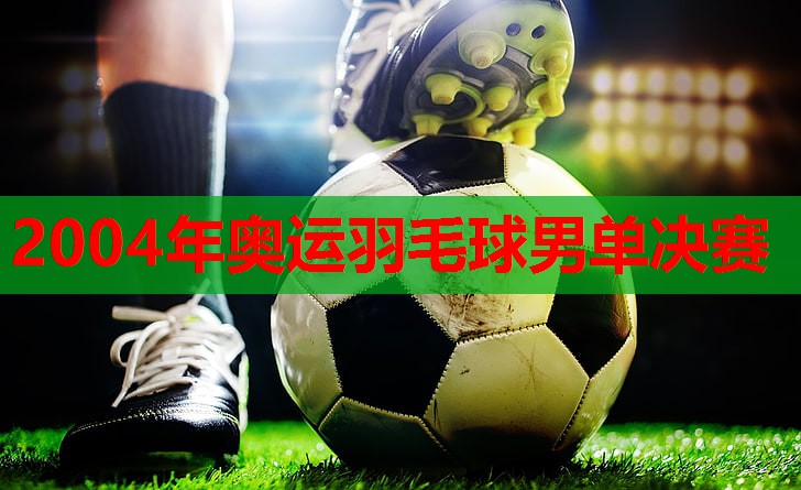 <strong>2004年奥运羽毛球男单决赛</strong>