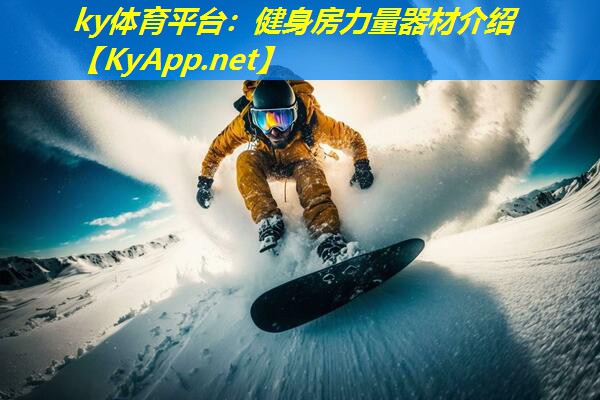 健身房力量器材介绍