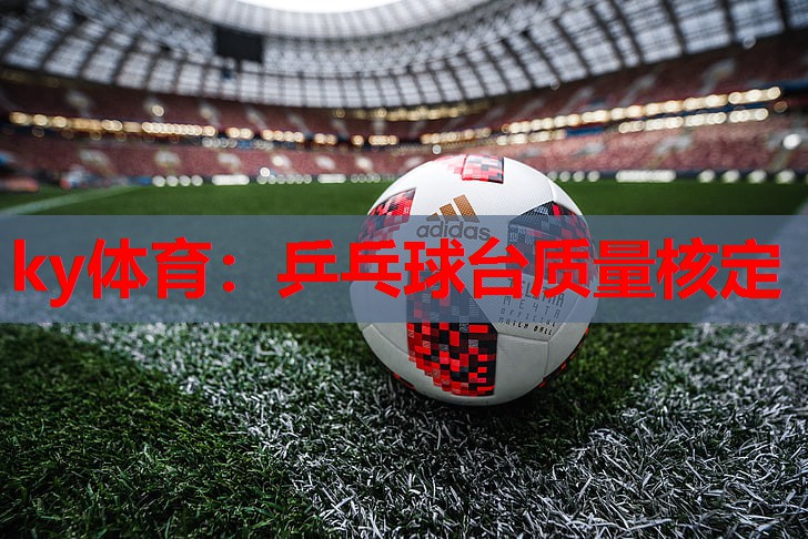 乒乓球台质量核定