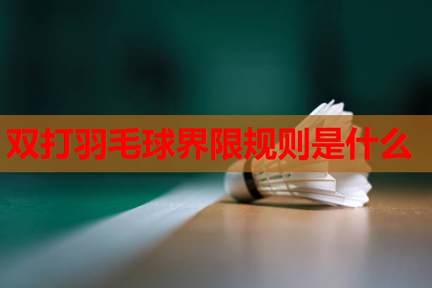 双打羽毛球界限规则是什么