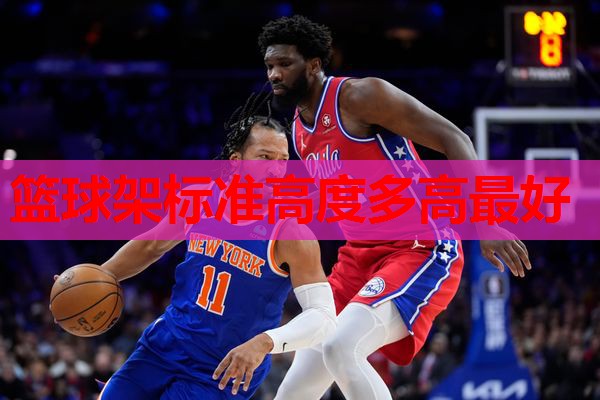 篮球架标准高度多高最好