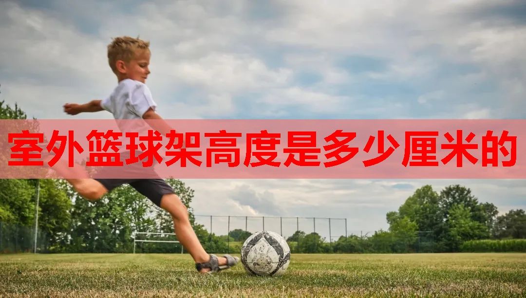 室外篮球架高度是多少厘米的