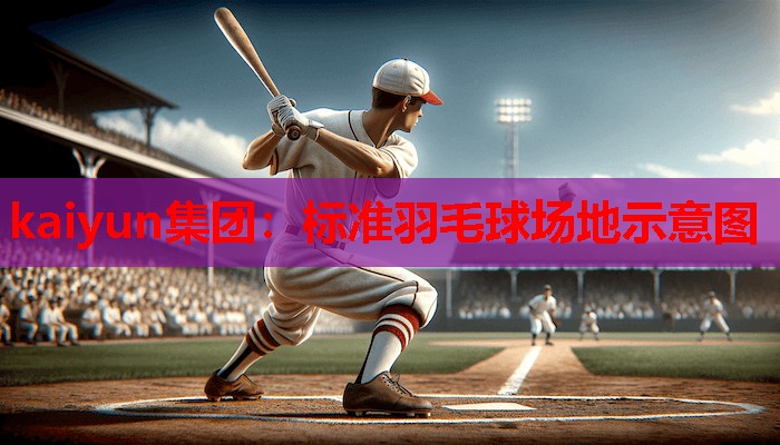 标准羽毛球场地示意图