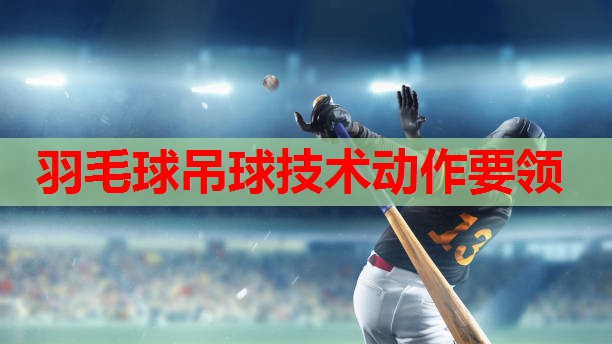 羽毛球吊球技术动作要领
