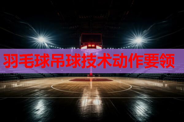 羽毛球吊球技术动作要领