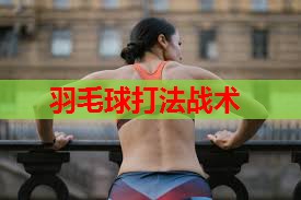 羽毛球打法战术
