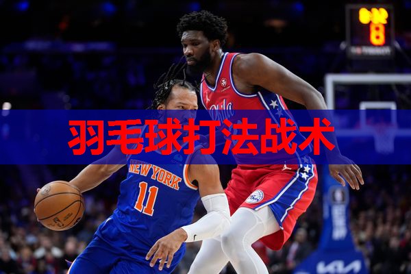 羽毛球打法战术