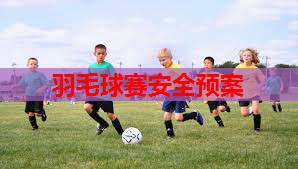 羽毛球赛安全预案